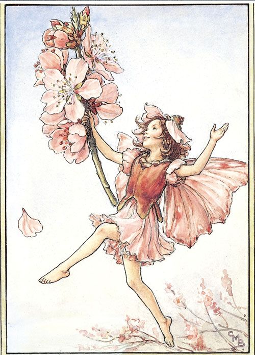 "Almond Blossom Fairy" by Cicely Mary Barker Mary Barker Fairies, Cecily Mary Barker, Fairies And Flowers, Cicely Mary Barker, Vintage Fairies, Almond Blossom, Fairies Elves, Flower Fairies, Flower Fairy