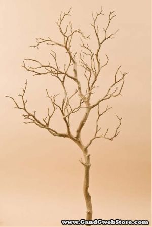 a bare tree with no leaves in front of a brown wall and light colored background