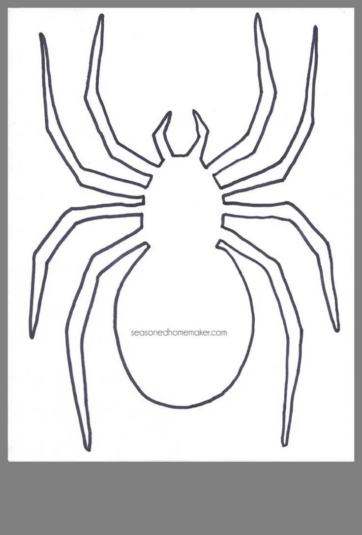 a spider is shown in the shape of a circle