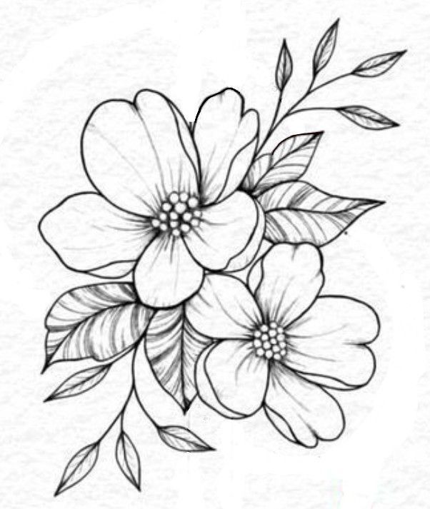 a drawing of flowers with leaves on the bottom and one flower at the top, in black and white