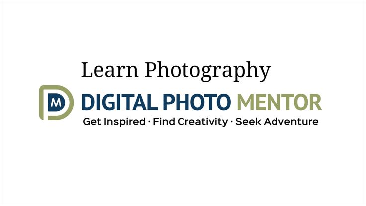 Digital Photo Mentor | Photography Basics for Beginners