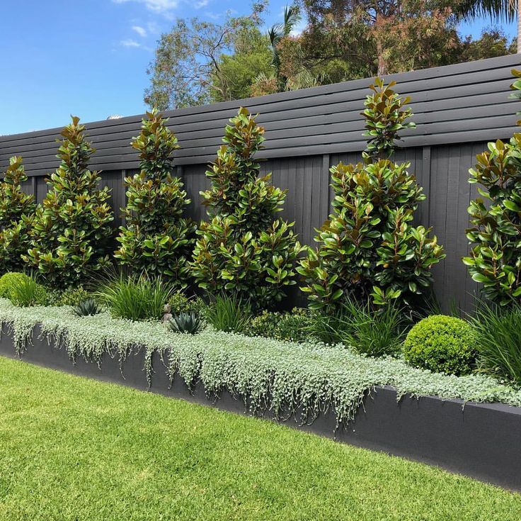 a row of trees in front of a black fence with green plants growing on it