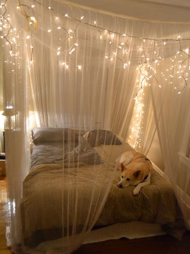 a dog laying on top of a bed covered in white netted curtains and lights