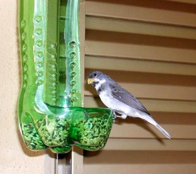 a bird perched on top of a green glass vase