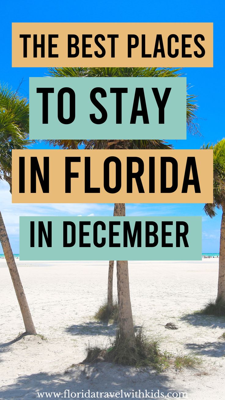 palm trees with the words best places to stay in florida in december on top and bottom