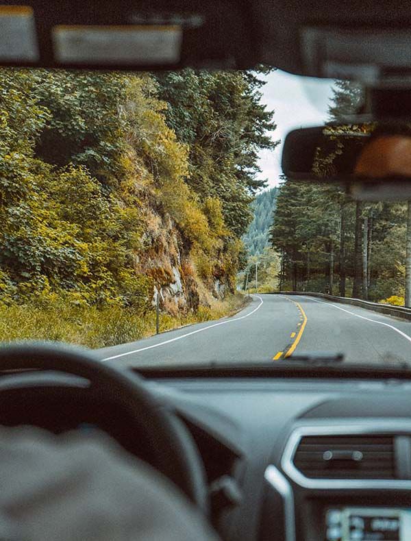 a car driving down a road next to tall trees and bushes on both sides of the road