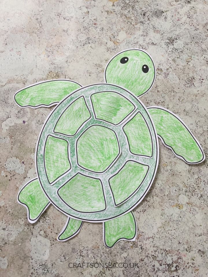 a drawing of a turtle on the ground