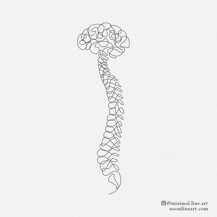 Brain and Spine | Tattoo Permission Form - Noon Line Art Beautiful Anatomy Art, Brain And Spine Tattoo, Chiropractor Tattoo, Brain And Spine Logo, Physiotherapy Tattoo, Neuro Tattoo, Practice Aesthetic, Line Art Tattoo Design, Spine Art