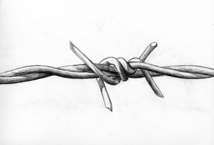 a pencil drawing of a barbed wire