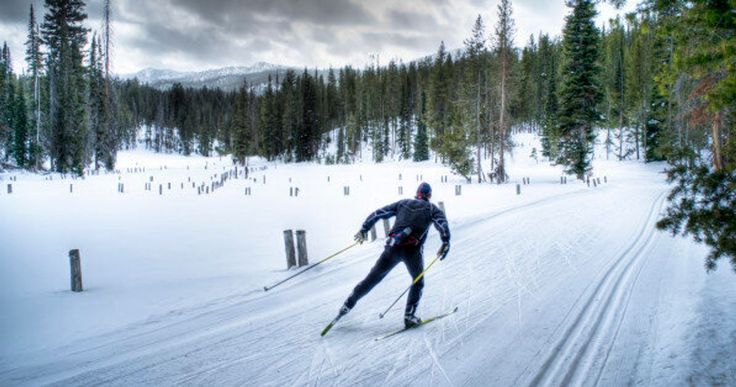 a man riding skis down the side of a snow covered slope next to trees