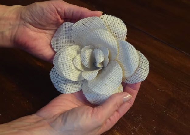 a person holding a white flower in their hand