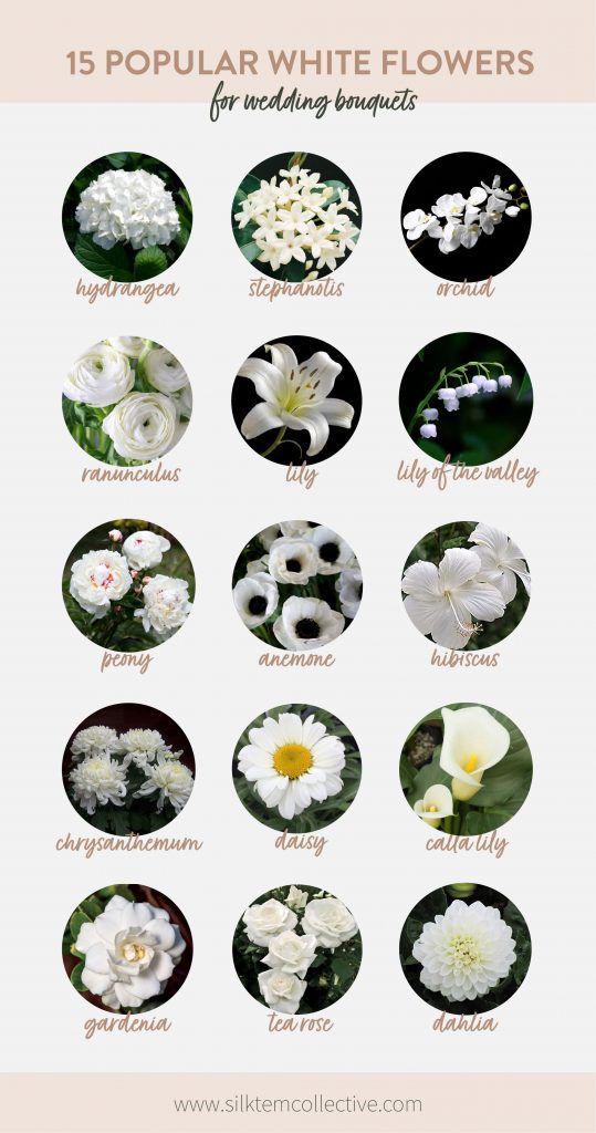 flowers that are white and have different names on them with the words, 15 popular white flowers for wedding bouquets