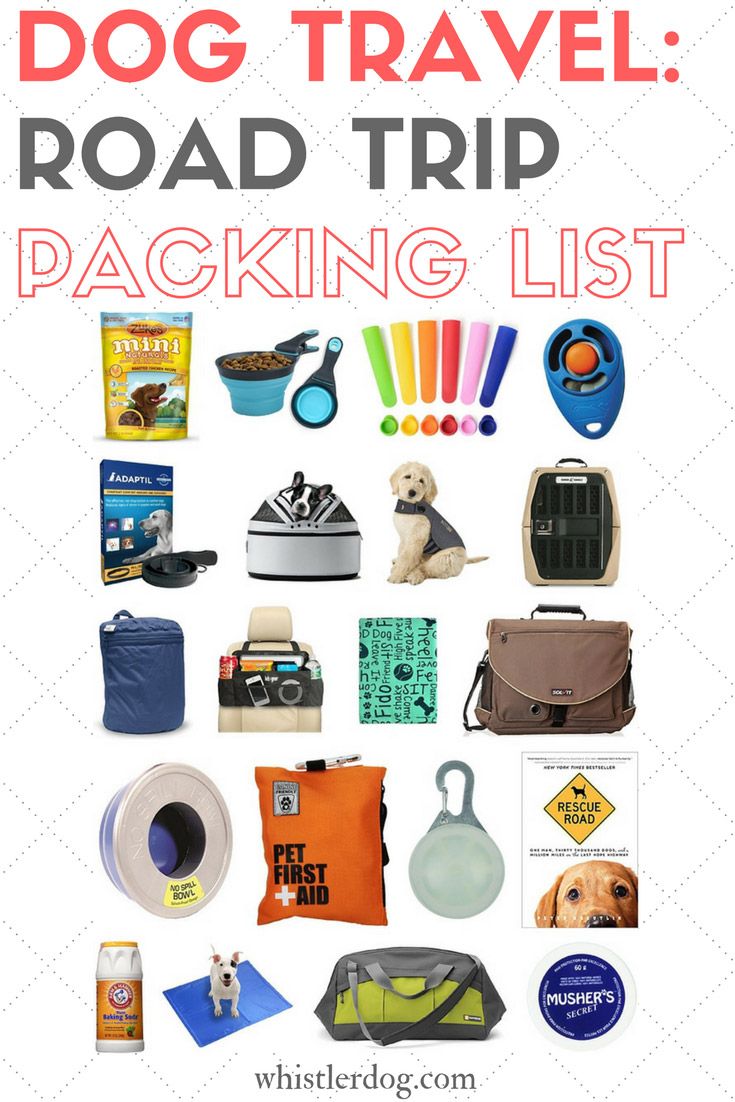 the dog travel road trip packing list is filled with things to pack in and out