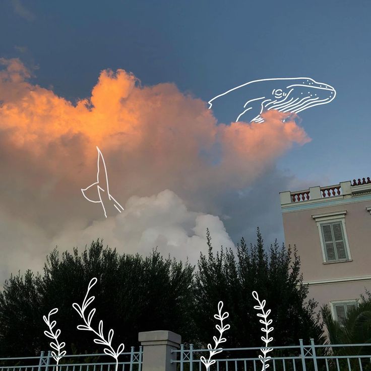 an image of a bird flying in the sky with trees and clouds behind it at sunset