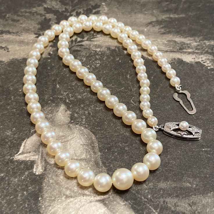 Delightful Mikimoto pearl necklace, a truly lovely vintage graduated strand with a pearl size range of 4mm - 8mm to the front central pearl. The necklace is continuously strung and has a length of 41.5cm including the clasp. Choker Length (14-16 inches / 35-41 cm): Slightly longer than the collar, choker-length necklaces rest just above the collarbone. They are versatile and can complement a wide range of necklines. The beautiful pearls that are perfectly matched in terms of colour and quality, Classic Pearl White Necklace With Pearl Charm, Classic Single Strand Pearl Necklace With Round Beads, Classic Formal Pearl Necklace With Pearl Charm, Classic Akoya Pearl Necklace, Classic Single Strand Pearl Necklace For Anniversary, Classic Single Strand Pearl Necklace For Formal Occasions, Classic Single Strand Pearl Necklace, Classic Single Strand Round Pearl Necklace, Classic Pearl Necklace With Round Beads For Anniversary