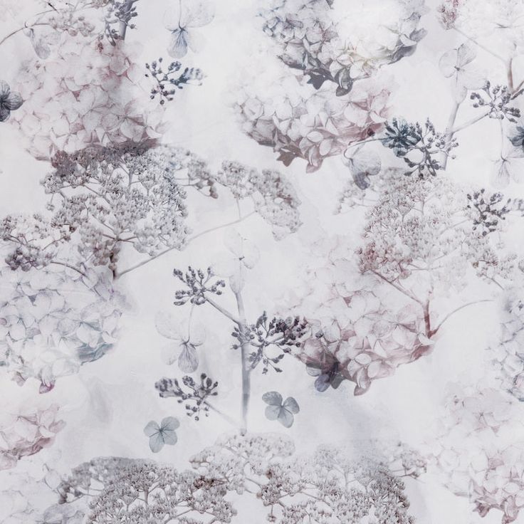 an image of flowers on a white background that looks like something out of the woods