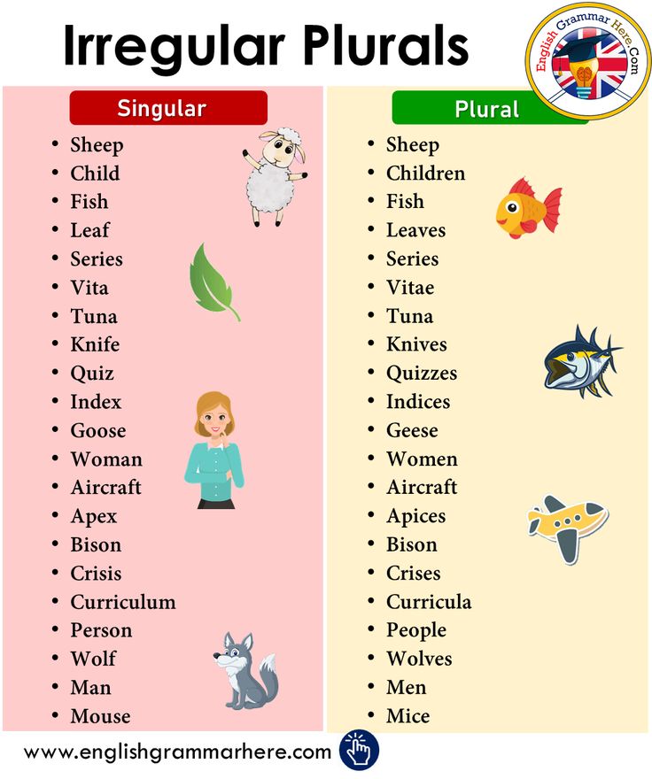 the irregular and singular words in english are shown with an image of two different animals