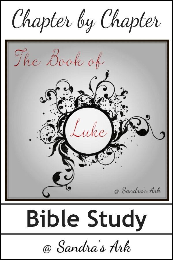 the book of luke by sandria's ark is shown in black and white