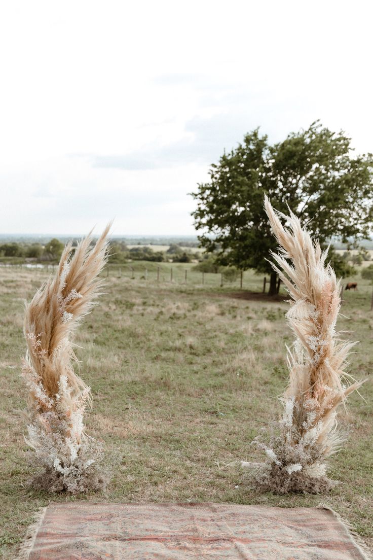 two tall grass stalks in the middle of a field