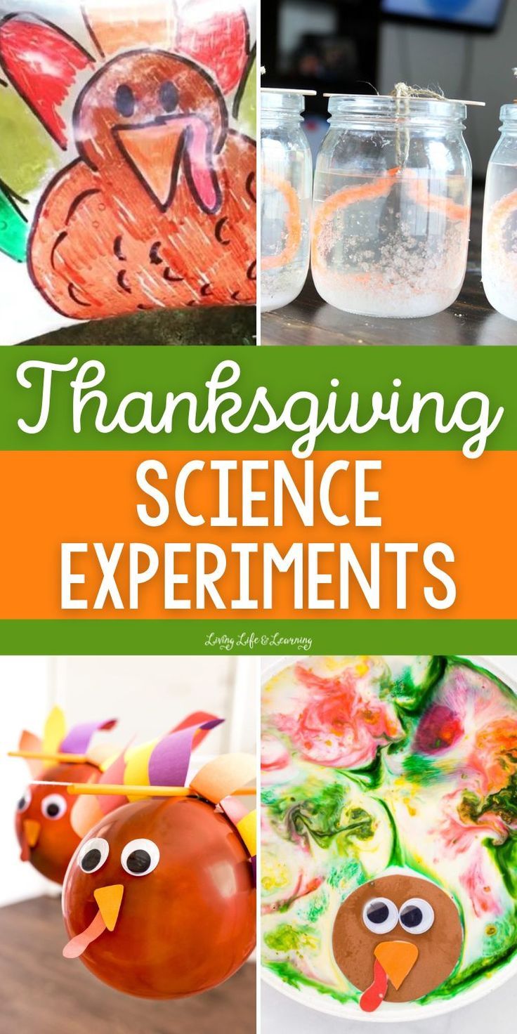 Thanksgiving Science Experiments Dancing Corn Experiment, Thanksgiving Science Experiments, Fun Homeschool Activities, Dancing Corn, Thanksgiving Science, Milk Experiment, Science Experiments For Kids, Experiments For Kids, Science Experiments