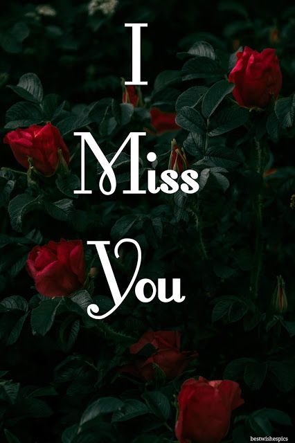 the words i miss you are written in white on a black background with red roses