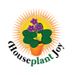 houseplantjoy20