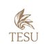 tesuindia