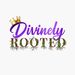 divinelyrootedproducts