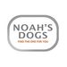 noahsdogs