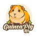 guineapig101_