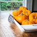 autumnharvestpumpkins