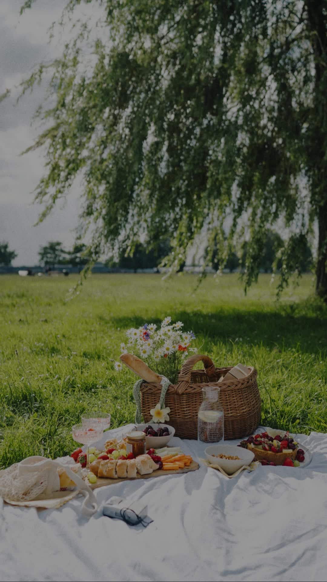 This may contain: a picnic is set up on the grass