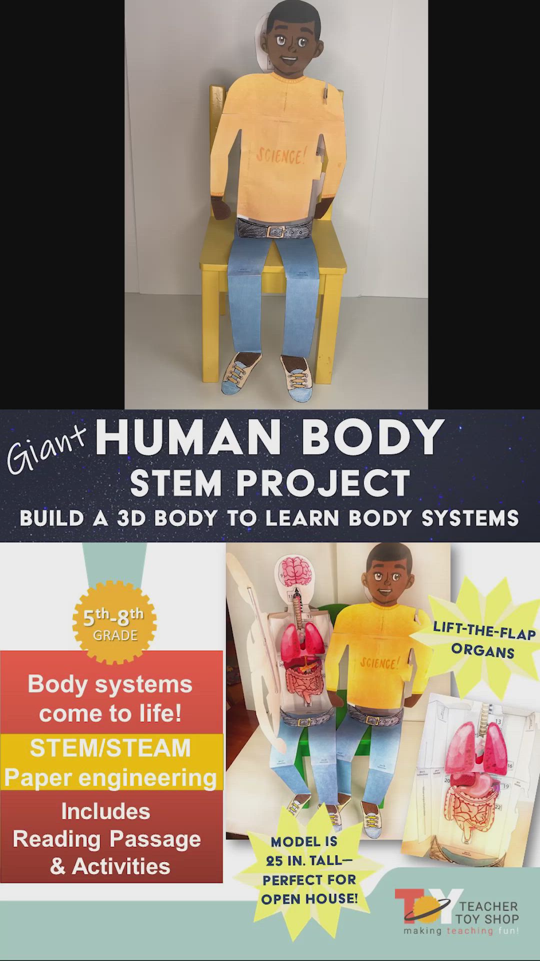 This contains: 3D paper boy sitting on a small yellow chair. Hands swing open the boy’s shirt to reveal paper organs (brain, spinal cord, lungs, heart, stomach, spleen, liver, gallbladder kidneys, etc.) inside. Hands lift the paper organs to reveal more human body organs beneath. Shirt is closed again and model is flipped to show fill-in-the-blank boxes on the support structure on the back and then placed face forward again on the chair.