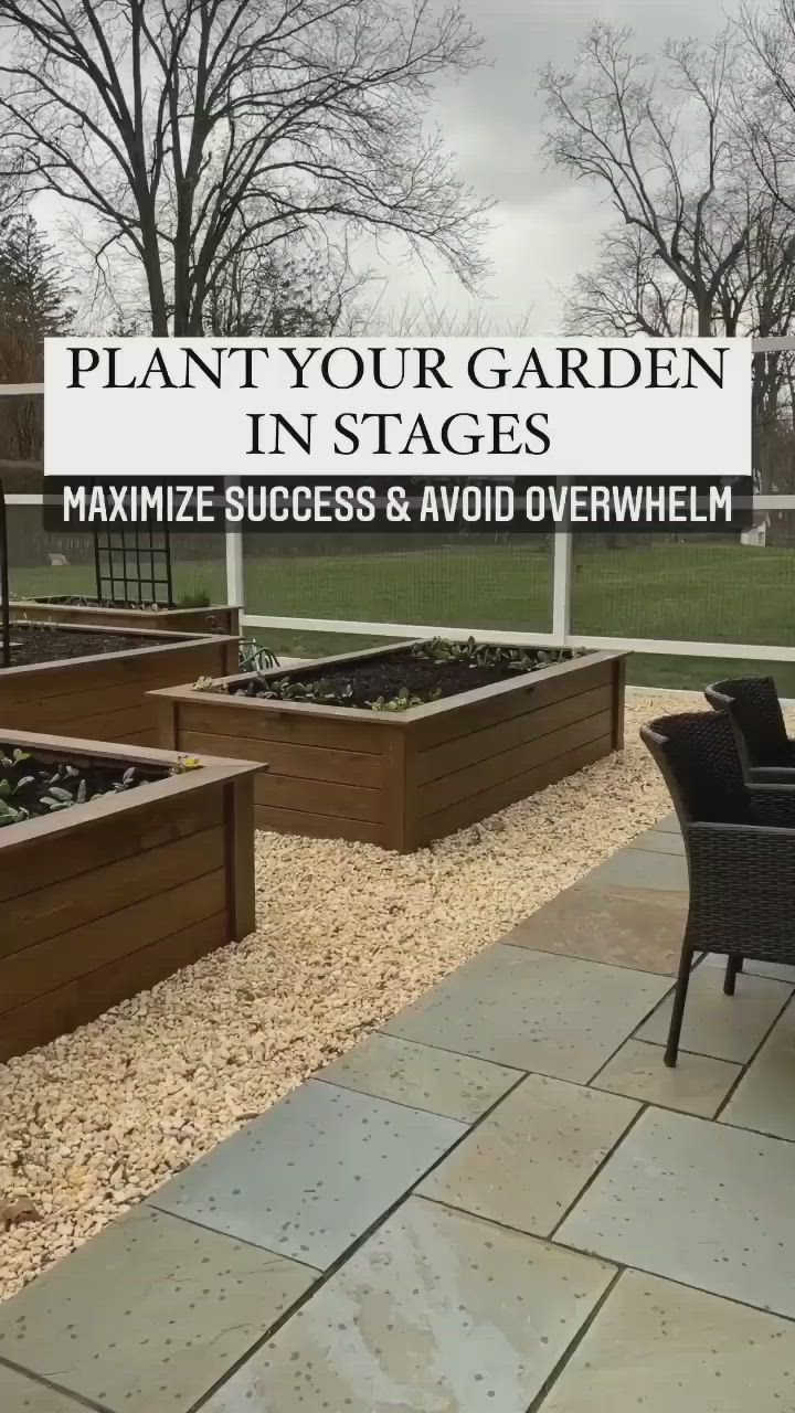 This may contain: an outdoor garden with wooden planters in it and the words plant your garden in stages maximum success & avoid overwhelm