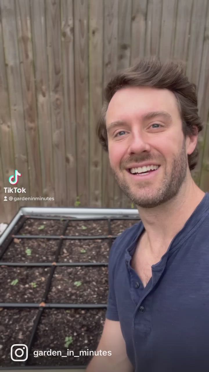 This contains: Stagger planting in a raised garden bed or any vegetable garden is a great way to spread out harvests and keep your garden productive through your growing season Here’s how it’s done