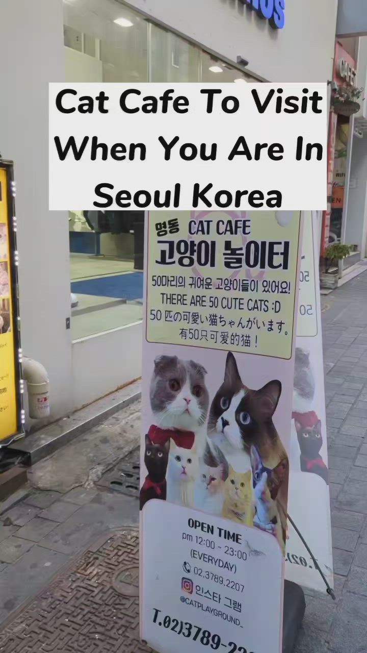 This may contain: a sign on the sidewalk that says cat cafe to visit when you are in seoul korea