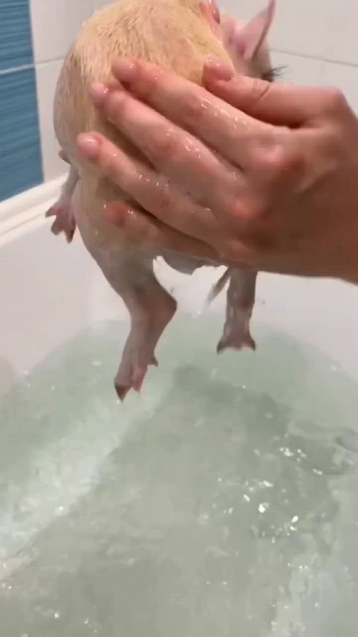 This may contain: a person holding a small animal in a bathtub