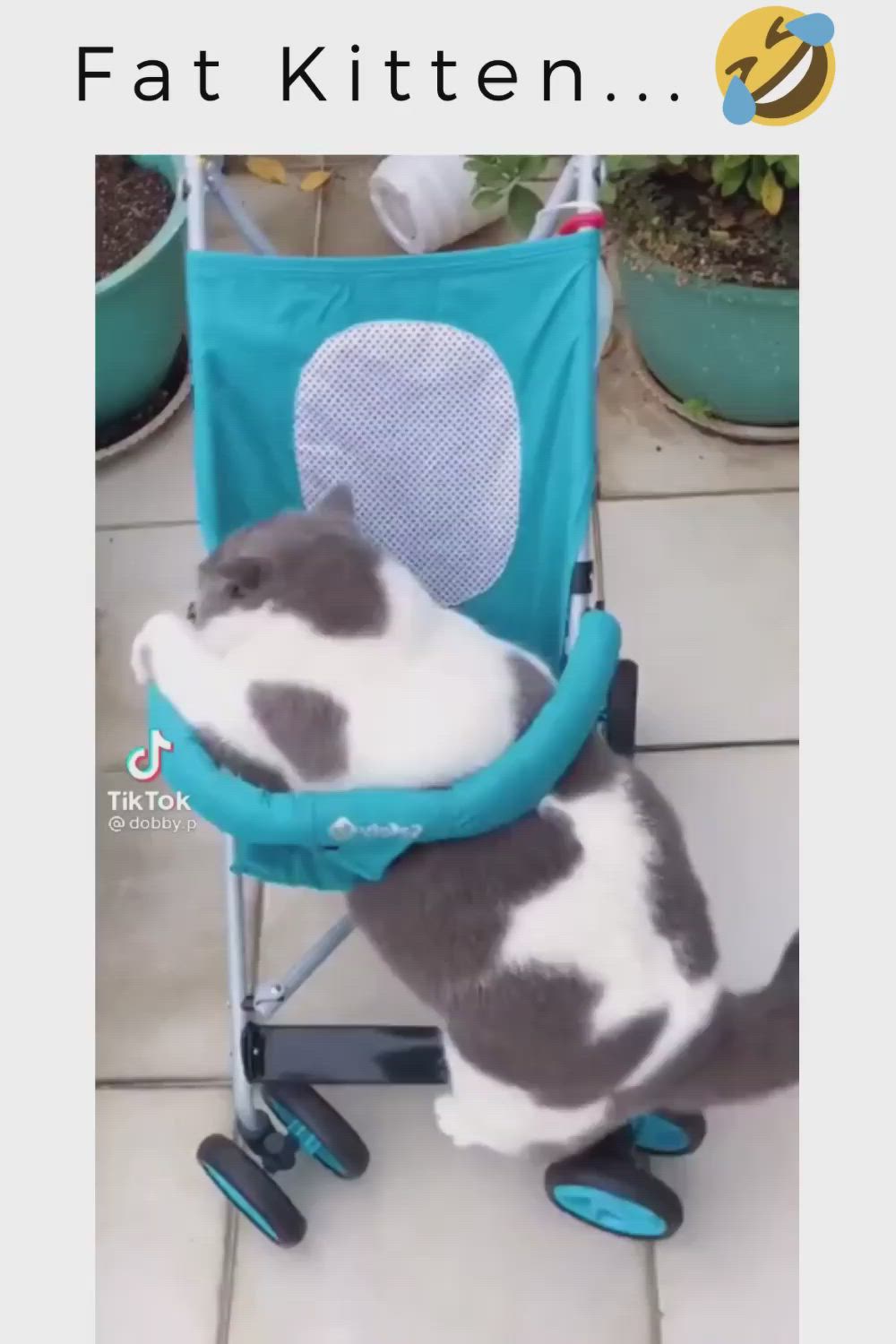 This may contain: a cat sitting in a blue stroller on the ground next to potted plants