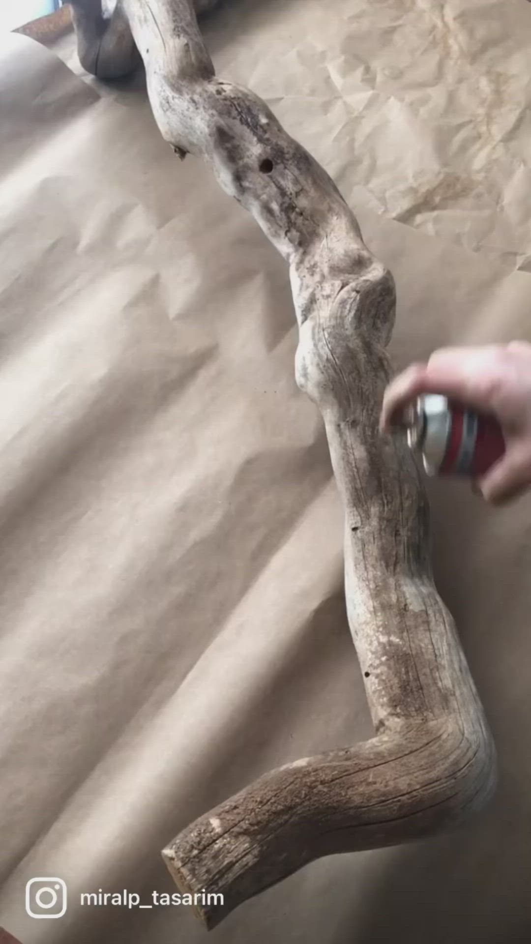 This may contain: a person is holding a piece of driftwood