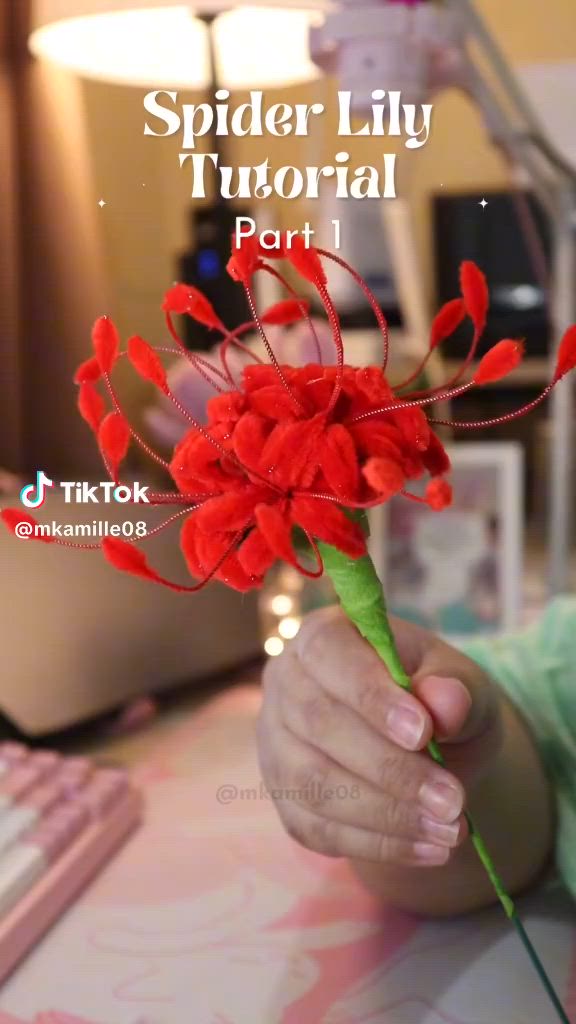 This may contain: a person holding a red flower in their hand with the words spider lily on it