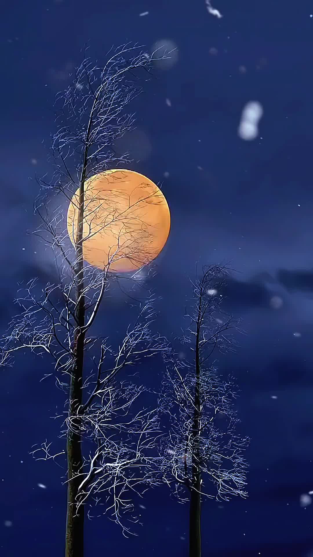 This may contain: a full moon is seen in the night sky above some bare trees and snow flakes