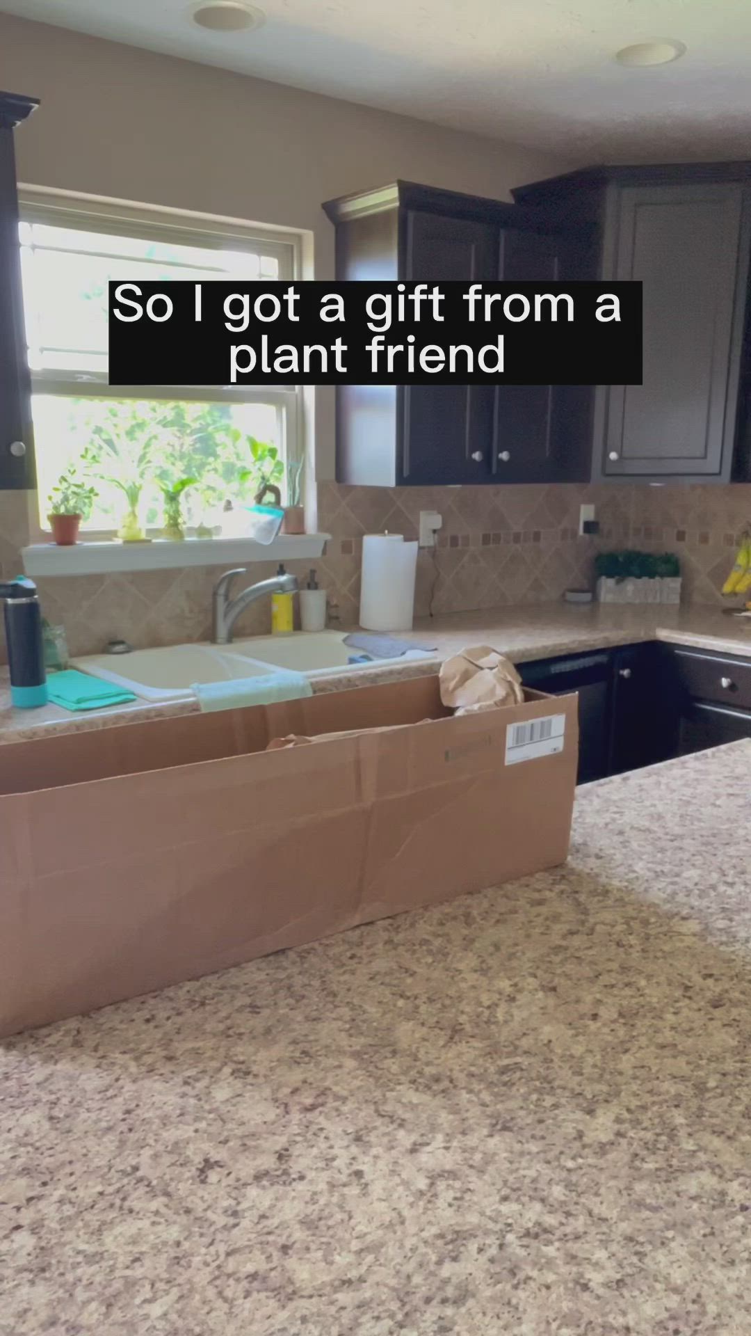 This may contain: a woman is sitting in a box on the kitchen counter and has an open lid that says, so i got a gift from a plant friend do you know what's in this box?