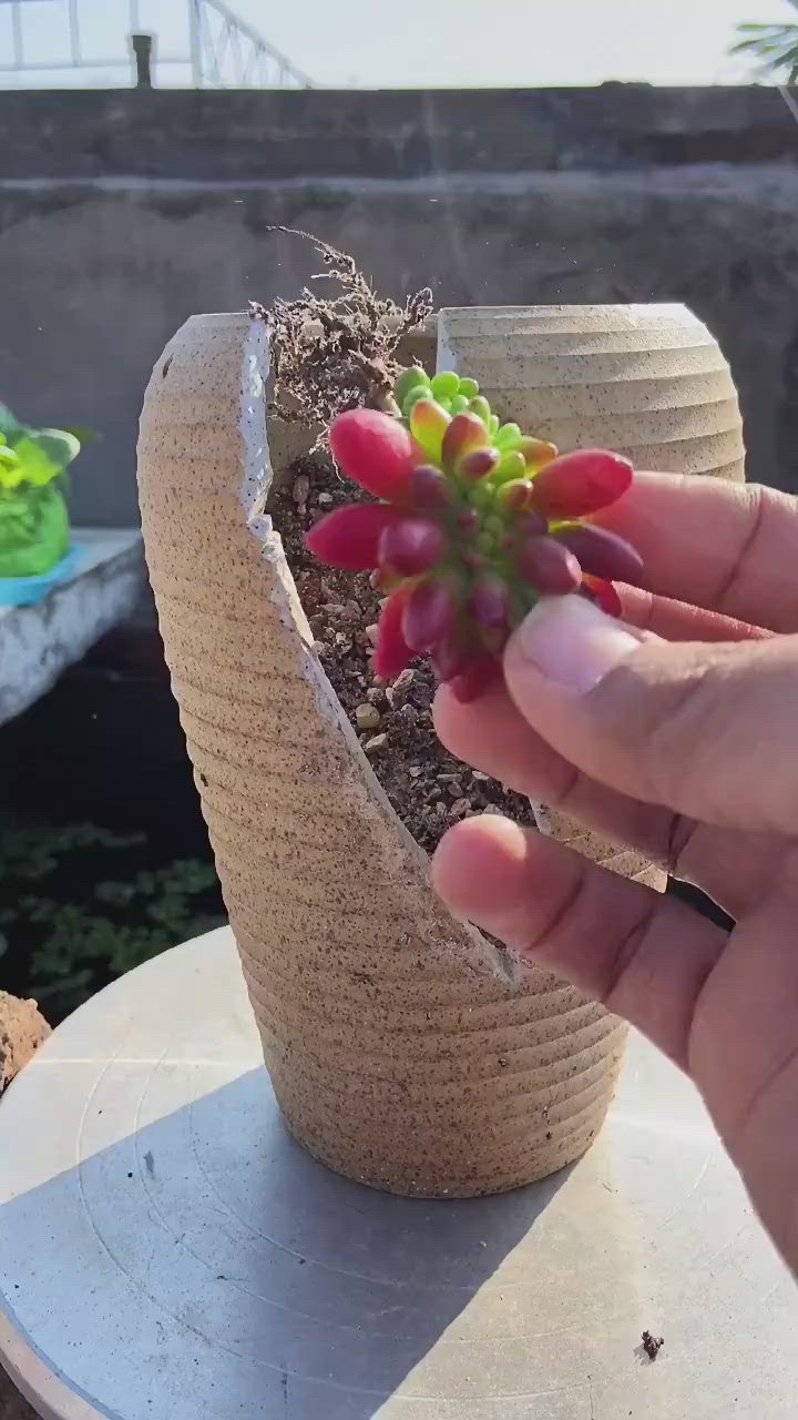 This may contain: a hand is holding a succulent plant in a vase