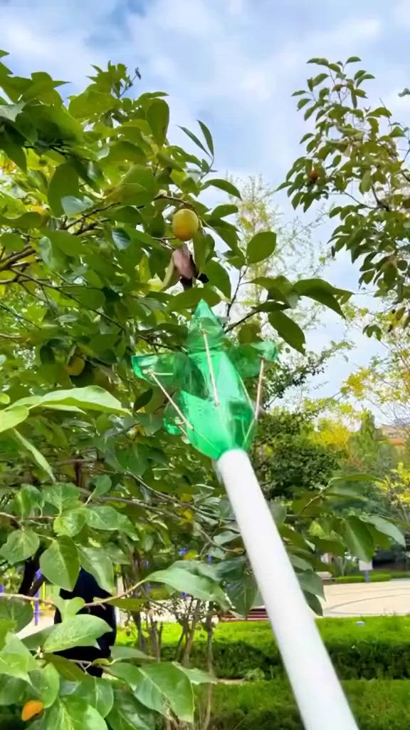 This may contain: a green street light sitting in the middle of a lush green park filled with trees