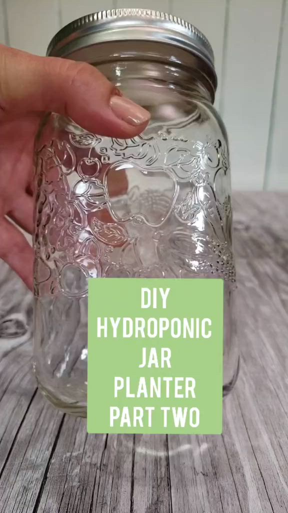 This may contain: a person is holding a jar with some liquid in it and the words diy hydroponic jar planter part two