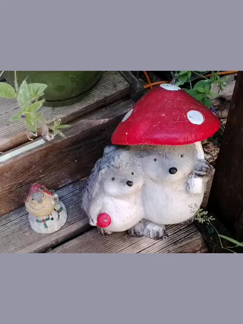 This may contain: two small white bears sitting next to each other on a wooden bench with a red mushroom hat on their head