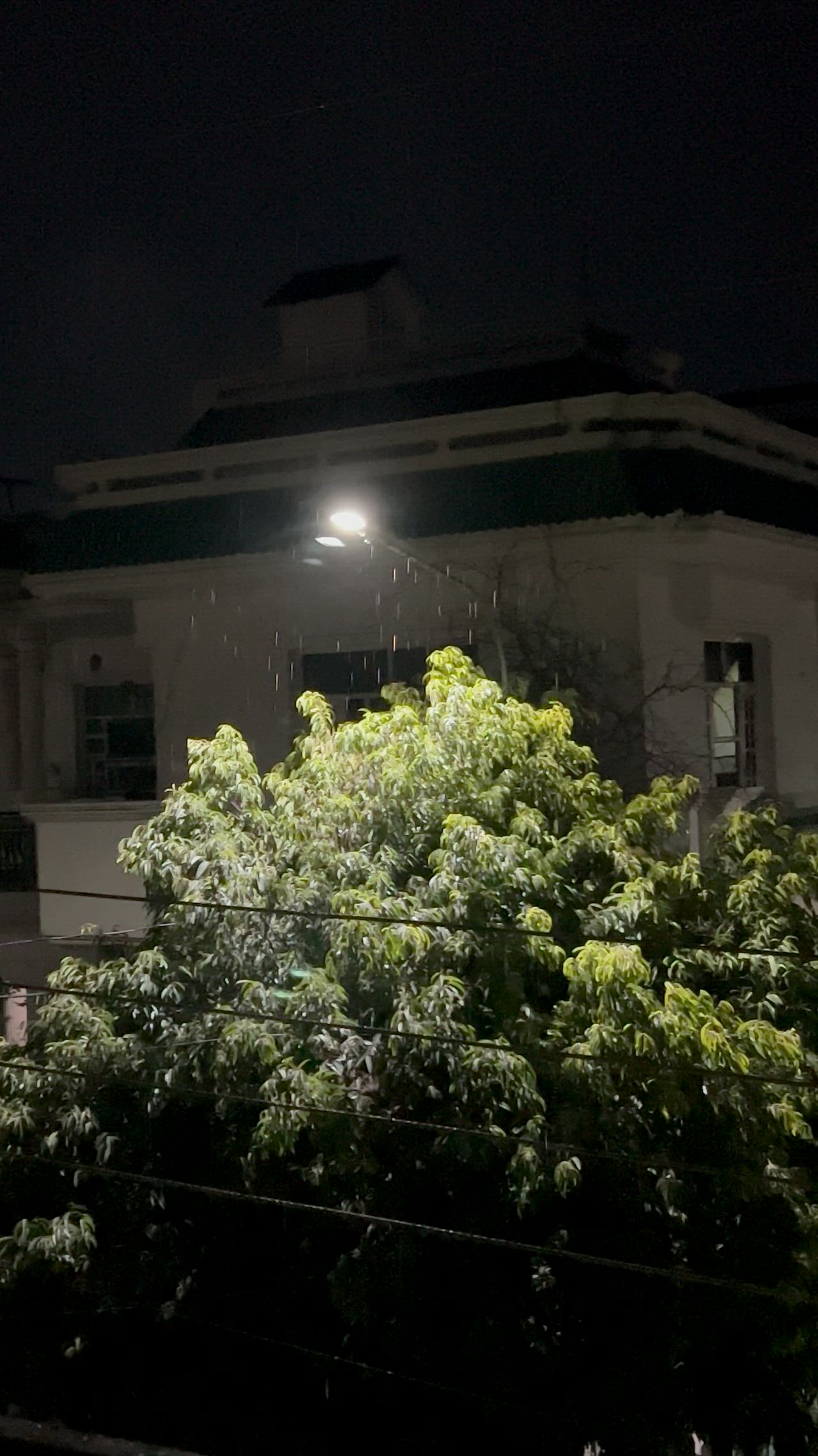 This may contain: a tree in front of a house at night with the moon shining on it's roof