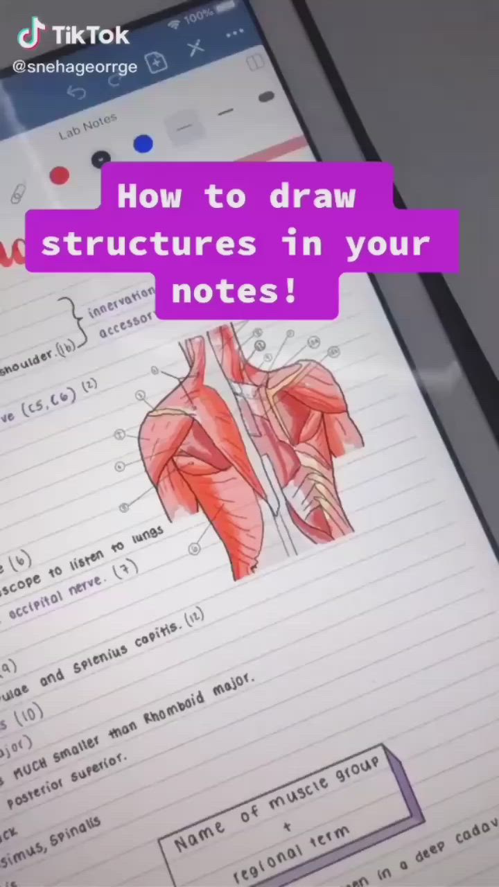 This may contain: a cell phone with the text how to draw structures in your notes written on it