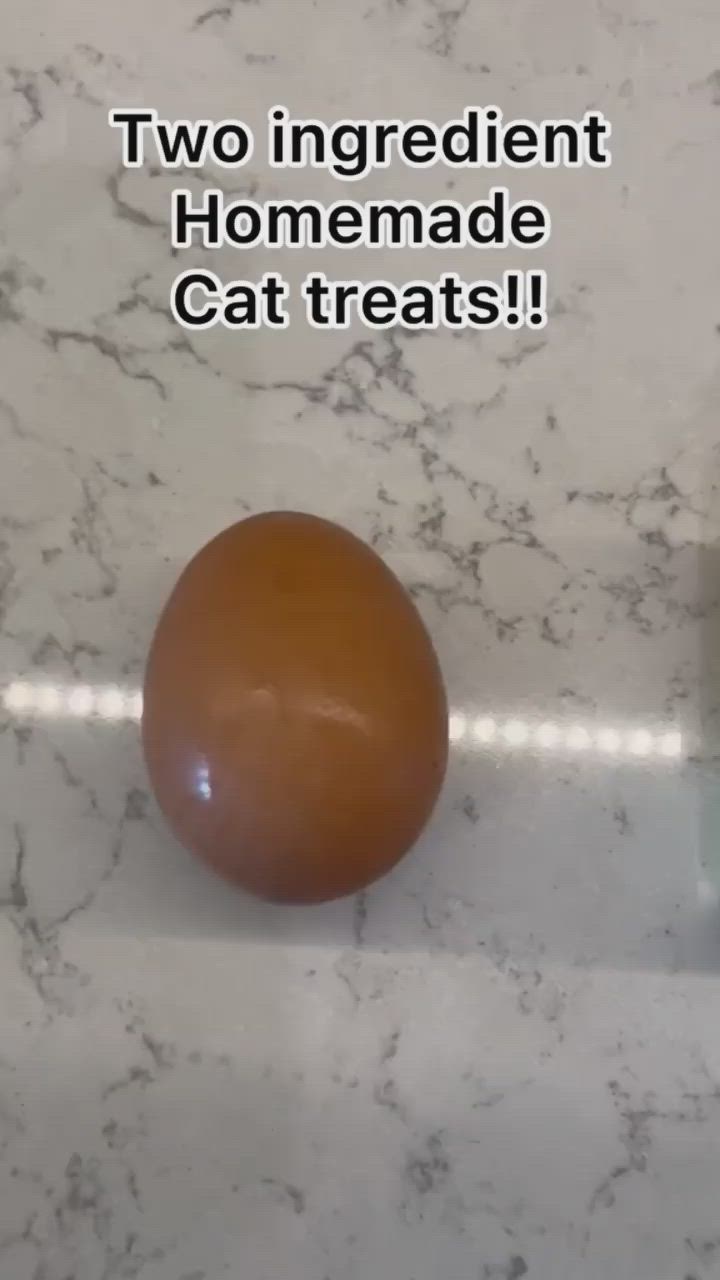 This may contain: an egg sitting on top of a marble counter next to a bottle of cat treats