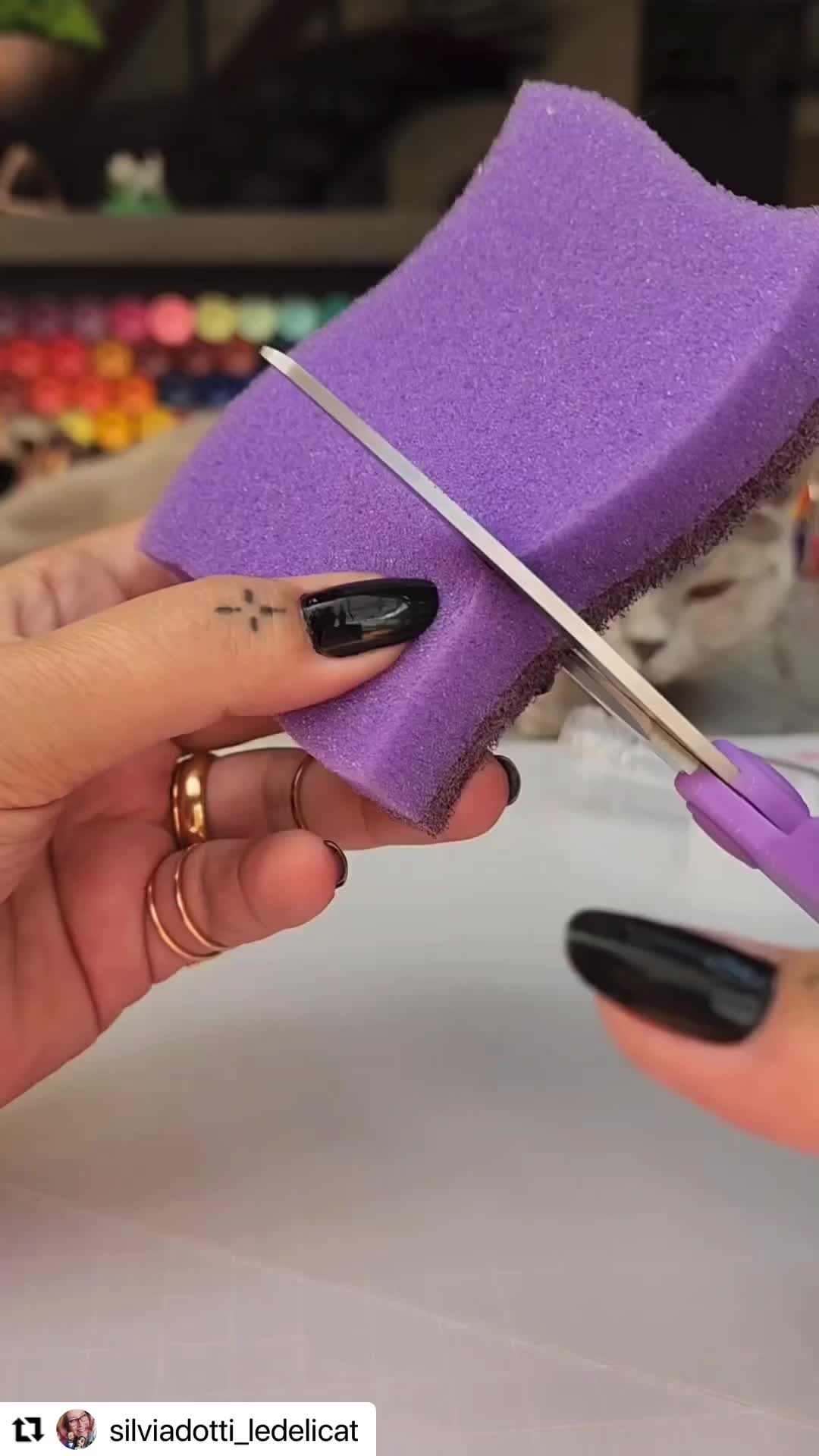 This may contain: a pair of hands holding a purple sponge with a knife sticking out of it, while another hand holds a black and white cat in the background